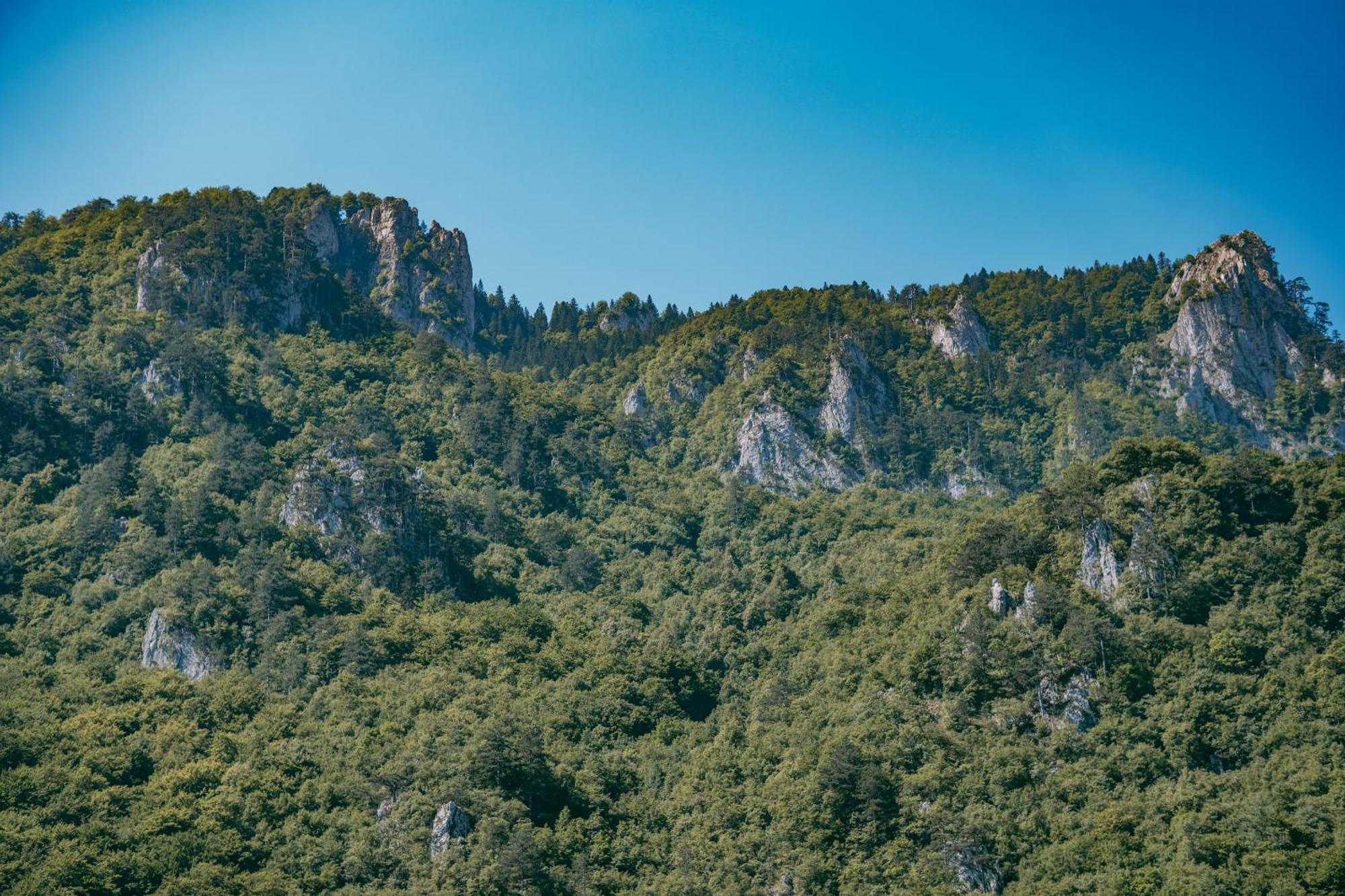 Vucja Gora Hotel Фоча Екстериор снимка