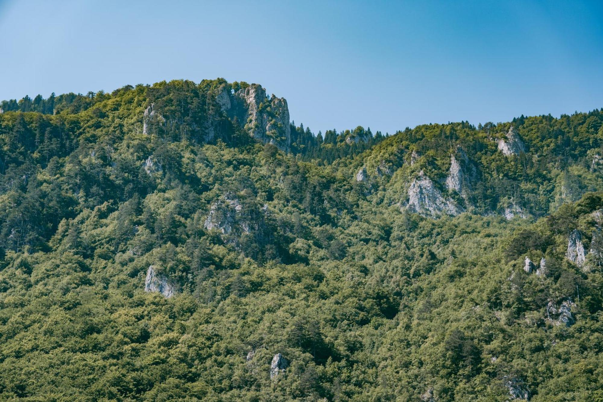 Vucja Gora Hotel Фоча Екстериор снимка